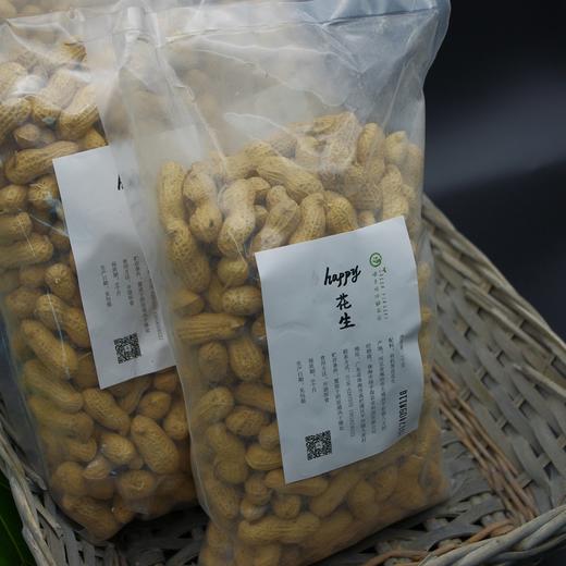合作生产 |有机黑皮花生 商品图1