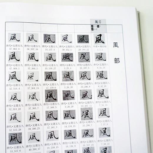 日藏唐代汉字抄本字形表（第四、五、六卷 ）  唐代钞本国宝 臧克和 海村惟一 商品图3