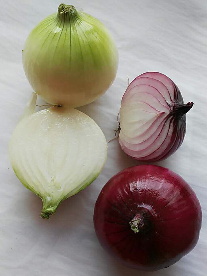 【下单后48小时左右发货】张家口 新鲜 水果洋葱 5斤装左右