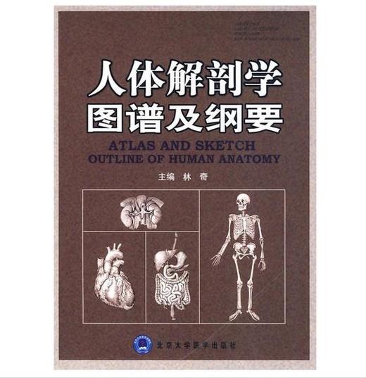 人体解剖学图谱及纲要 北医社  作者:林奇　主编 商品图0