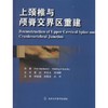 上颈椎与颅脊交界区重建(W)   北医社  作者:(捷克)祖霍梅尔，(美)舒提卡，　著，夏虹，尹庆水，吴增晖　译 商品缩略图0