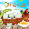 彩虹雨 农家散养新鲜绿壳鸡蛋柴土鸡蛋 10枚 全国发货满额包邮 商品缩略图2