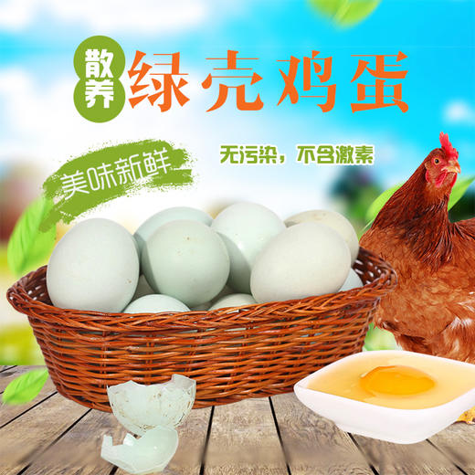 彩虹雨 农家散养新鲜绿壳鸡蛋柴土鸡蛋 10枚 全国发货满额包邮 商品图2