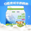 京津冀包邮 当天日期发货 归原 有机全脂纯鲜牛奶243ml*8盒 巴氏 商品缩略图2