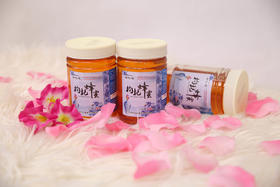 青花瓷枸杞蜜 500g