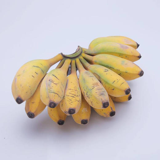 🍌海南野生芭蕉，香糯甜绵，不经过药物催熟，现采现发，顺丰到家/4斤20-25根 商品图2