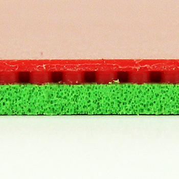 岸度ANDRO  新锐煞 Rasanter V47 涩性反胶乒乓球套胶 商品图3