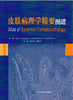 皮肤病理学精要图谱（W） 北医社  作者:（美）马斯特伯　原著，晋红中，曾跃平　译 商品缩略图0