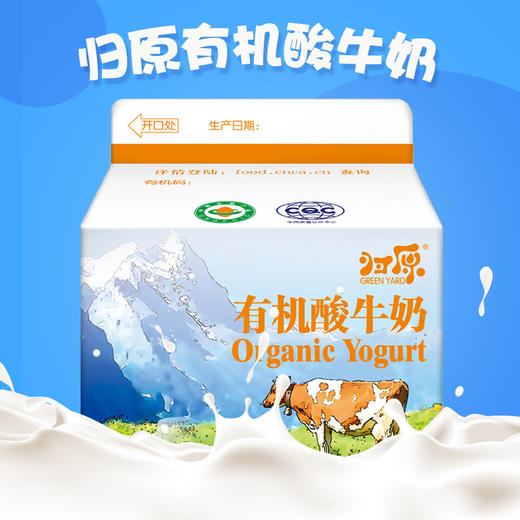 京津冀顺丰包邮 当天日期 归原 有机含糖酸奶250gx8 巴氏奶 商品图3