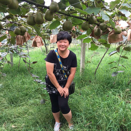 【团购特惠】蒲江红心猕猴桃，您的营养小金库，绿色健康，当季现摘，放到有点软吃，超级美味 商品图6