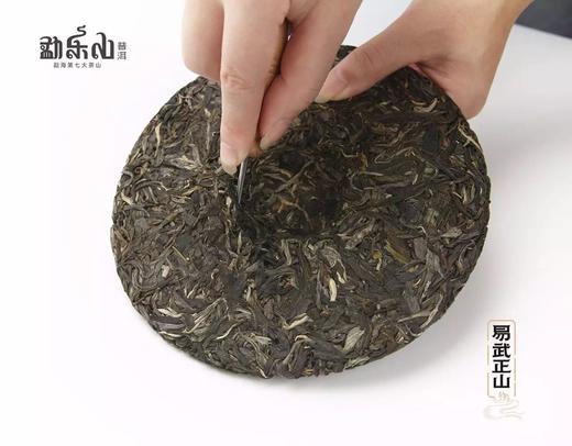 勐乐山第七大茶山(易武正山)生茶357g 商品图3