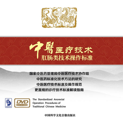 中医医疗技术肛肠类技术操作标准 商品图2