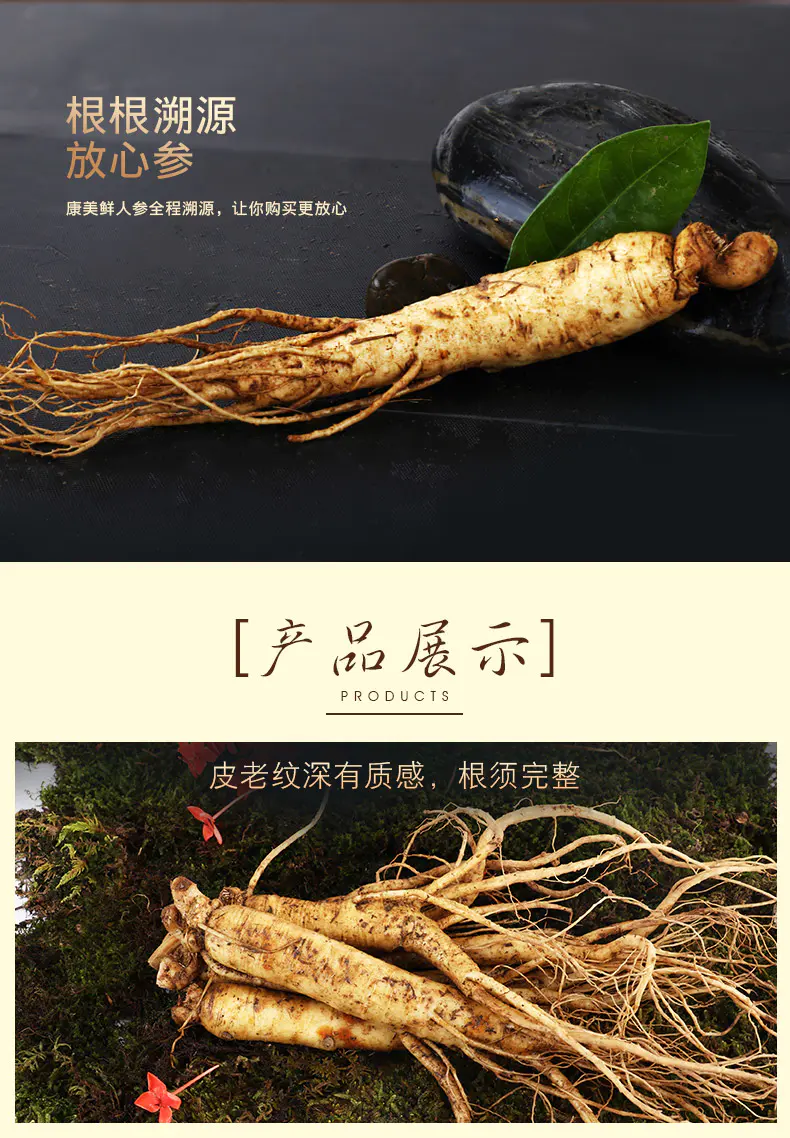 新鲜人参的功效有哪些
