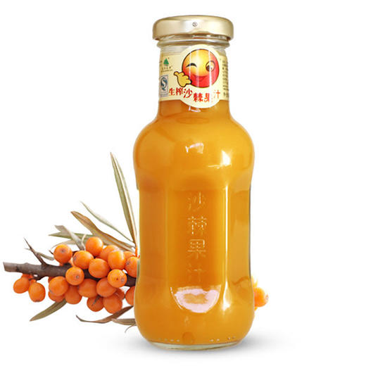 新疆沙棘果汁20瓶  （有机纯天然） 商品图0