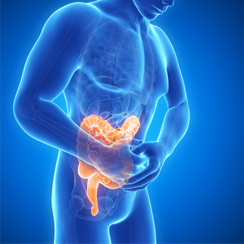 肠道菌群基因测序