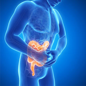 肠道菌群基因测序