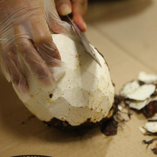 广西荔浦芋头 皇室贡品 农家自种 新鲜现挖广西特产 槟榔香芋5斤装 商品图5
