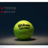 威尔胜 Wilson Trainer  无压训练网球 72粒/桶 15粒包邮 T1312 商品缩略图1