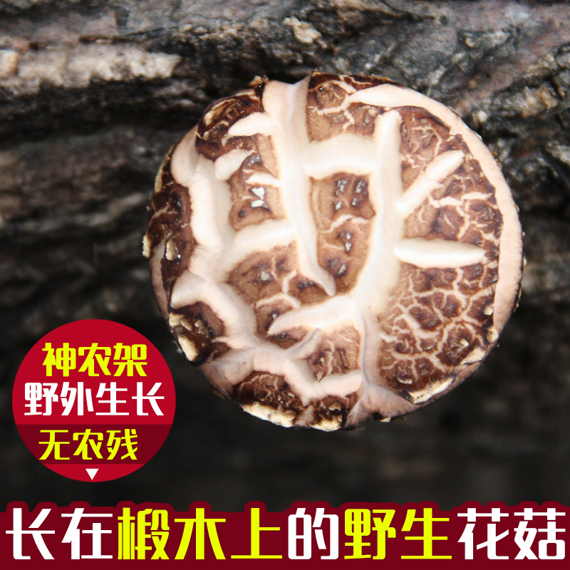 【湖北神农架】房县椴木花菇150g