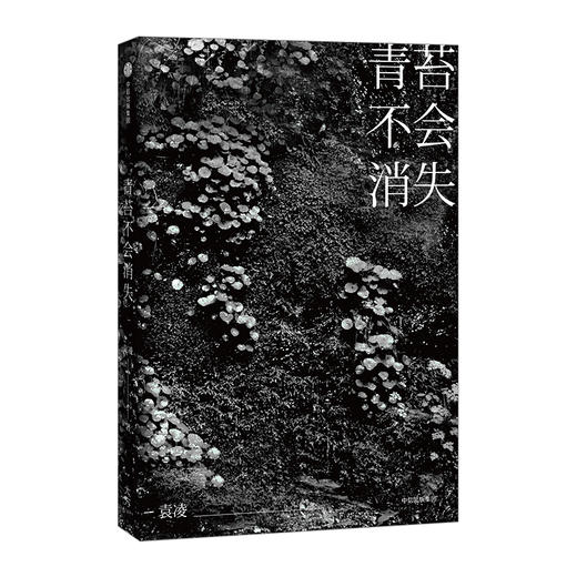 青苔不会消失 只要世上还有一个穷人 袁凌作品 商品图1