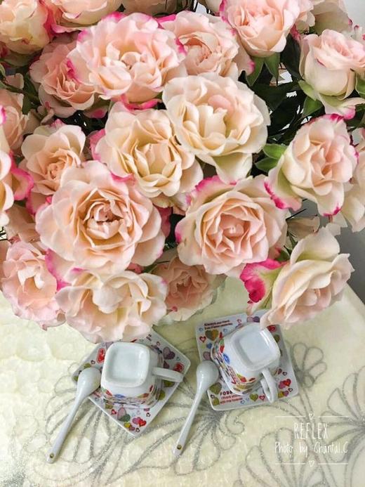 【昆明玫瑰】国产多头折射 10支/扎  A级 商品图1