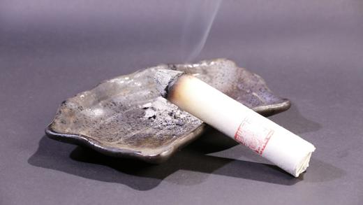 艾缘灸道22*210八段艾条10支装 商品图3