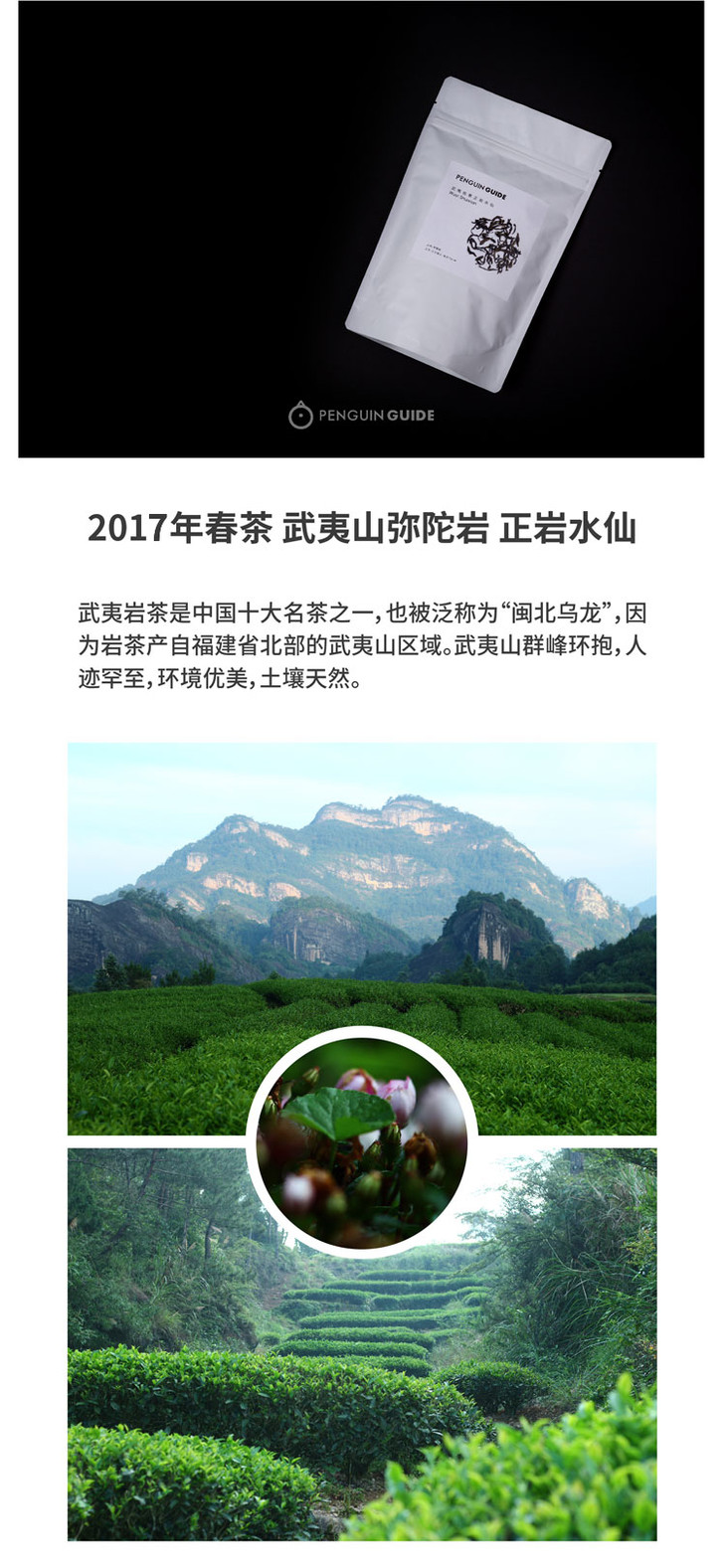 企鹅市集 | 武夷山岩茶 弥陀岩水仙 50g 闽北乌龙