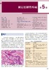 麦基皮肤病理学——与临床的联系（第4版） 北医社 孙建方 高天文 涂平 主译  朱学骏主审 商品缩略图3