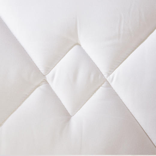 【百富精选】 DACRON抗菌冬被 商品图1