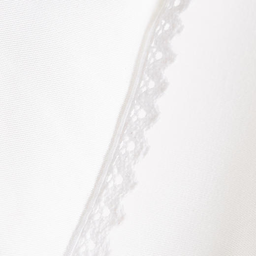 【百富精选】 DACRON抗菌冬被 商品图2