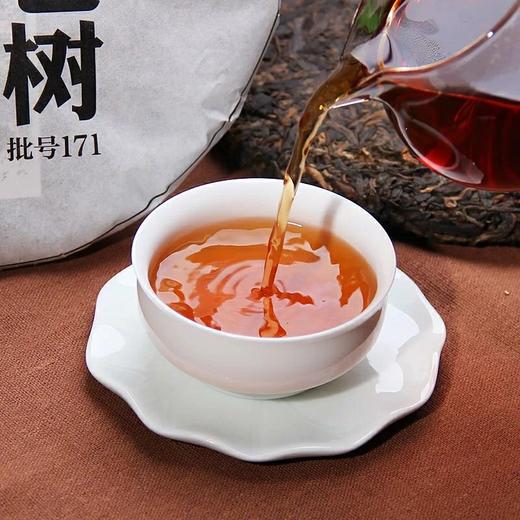 老同志普洱茶熟茶饼茶 2017年171批深山老树熟茶 500g 商品图4