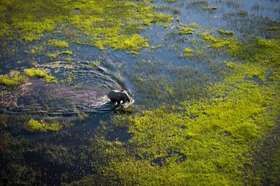 博茨瓦纳&津巴布韦 “地球湿漉漉的背之旅” 8天
