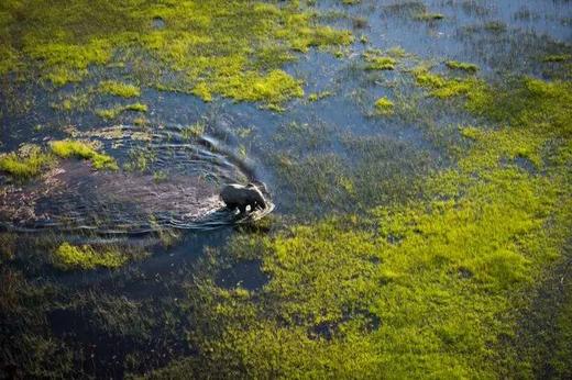 博茨瓦纳&津巴布韦 “地球湿漉漉的背之旅” 8天 商品图0