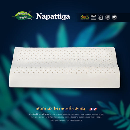 Napattiga娜帕蒂卡 天然儿童健康乳胶枕头KP 商品图4