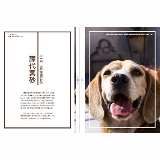 知日11 犬 第3版 苏静 著 日本各个层面下的犬文化风景 宠物犬 辅助犬 流浪犬 广告犬 电子犬 中信出版社图书 正版书籍 商品图1