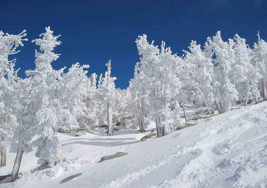 新品 美国太浩湖9日滑雪之旅18年1月28日 Snowhero