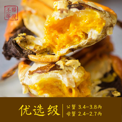 【阳澄不等】 2025
正宗阳澄湖大闸蟹 米其林餐厅之选 蟹卡现货/实物现货 商品图2