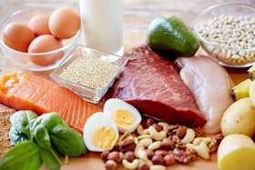 第99天 - 蛋白质在减肥中的作用