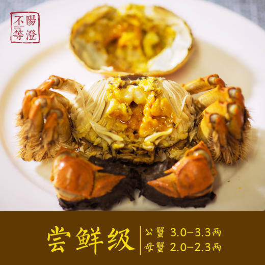 【阳澄不等】 2025
正宗阳澄湖大闸蟹 米其林餐厅之选 蟹卡现货/实物现货 商品图1