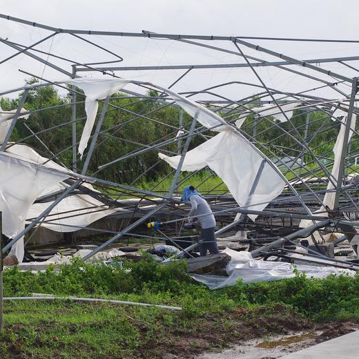 灾后消费筹款 | 有机蔬菜年份额 商品图0