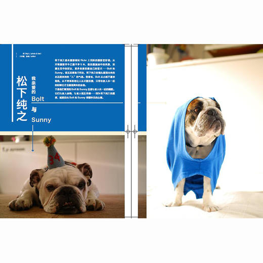 知日11 犬 第3版 苏静 著 日本各个层面下的犬文化风景 宠物犬 辅助犬 流浪犬 广告犬 电子犬 中信出版社图书 正版书籍 商品图3