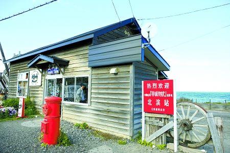 9月 北海道富良野道央黄金麦田花海精华5天游 瑞安中旅蜂游旅行