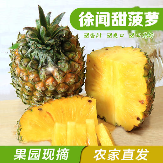 广东徐闻甜菠萝 农家现摘新鲜菠萝 热带水果香甜凤梨大菠萝 商品图0