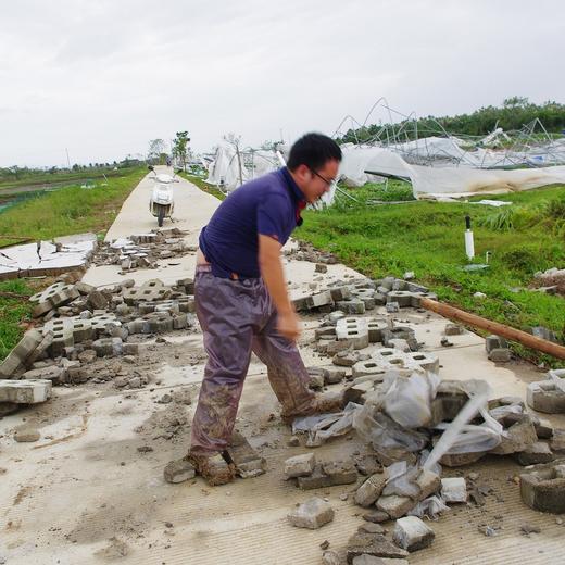 灾后消费筹款 | 生态粮食年份额 商品图4