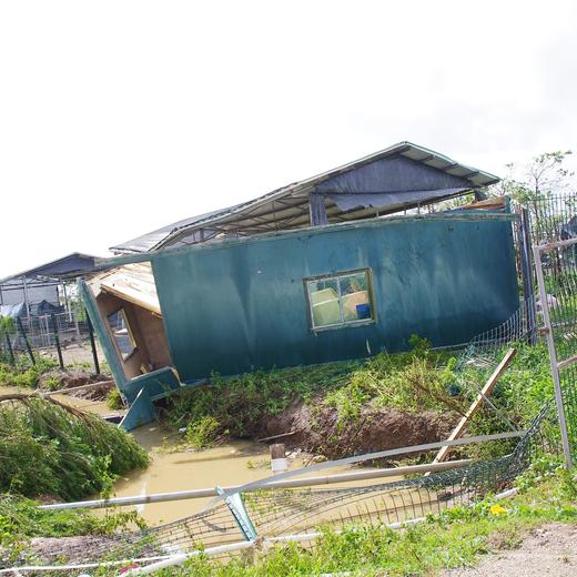 灾后消费筹款 | 生态粮食年份额 商品图5