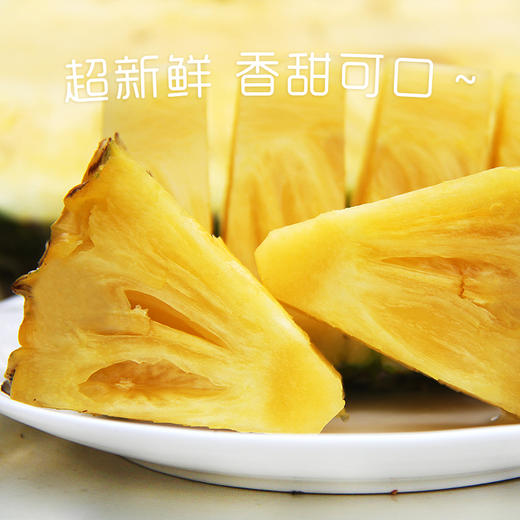 广东徐闻甜菠萝 农家现摘新鲜菠萝 热带水果香甜凤梨大菠萝 商品图3