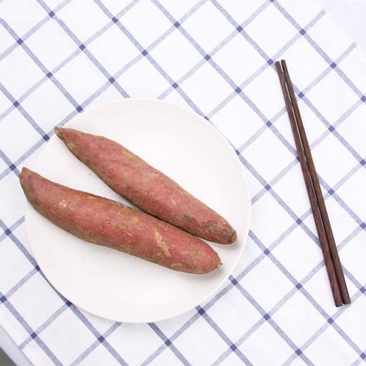 新采红薯一枝香红薯红皮地瓜约3斤蔬菜