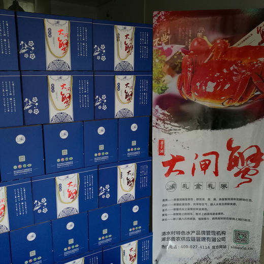 【大闸蟹五对10只精品礼盒装】-湖北特产-武汉梁子湖大闸蟹礼盒-大闸蟹提货礼券-量大价优可定制-专卖店电话027-88991657 商品图5