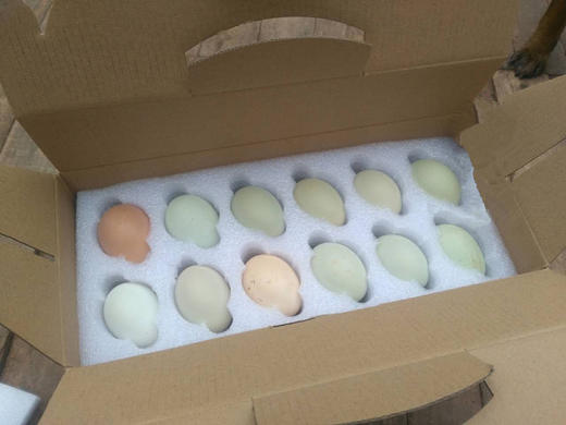 朴田农场山地放养鸡蛋 商品图1