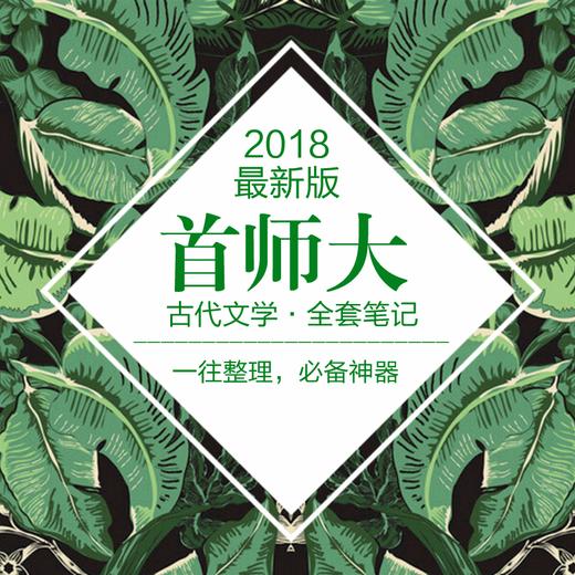 2020版首都师范大学中国古代文学专业考研全套笔记资料两科均包含 商品图0